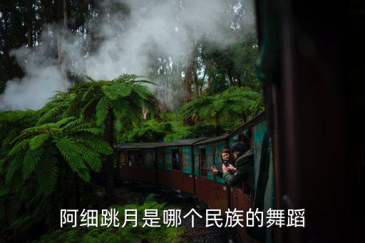 云南有哪个民族的舞蹈，阿细跳月是哪个民族的舞蹈