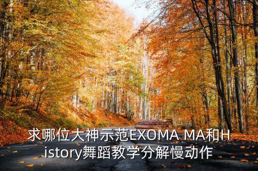 求哪位大神示范EXOMA MA和History舞蹈教学分解慢动作