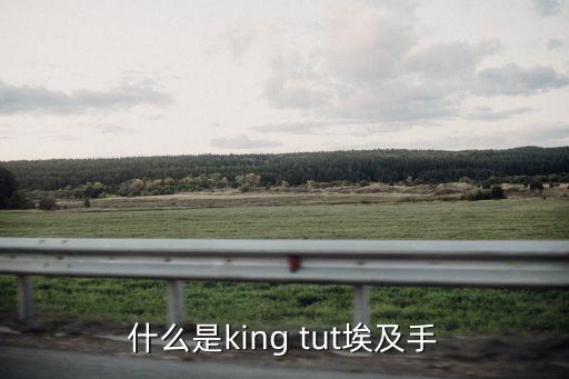 什么是king tut埃及手