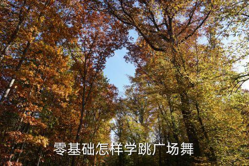 简单的广场舞初学，2016广场舞最新广场舞初学16步如何走