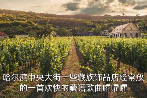 哈尔滨中央大街一些藏族饰品店经常放的一首欢快的藏语歌曲嚯嚯嚯