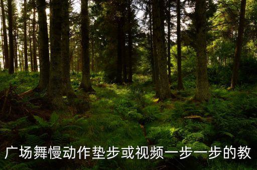 广场舞慢动作垫步或视频一步一步的教