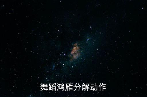 舞蹈鸿雁分解动作