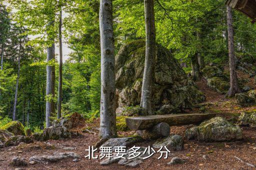 北舞要多少分