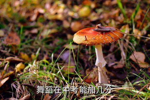 中考舞蹈多少分，舞蹈在中考能加几分