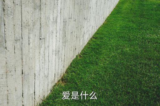 爱是什么
