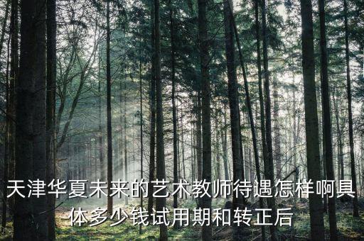 天津华夏未来的艺术教师待遇怎样啊具体多少钱试用期和转正后
