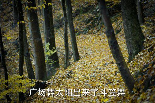 什么舞蹈适合跳斗笠舞，急救要有伞或斗笠作为道具的一段舞蹈两分钟左右不懂得不要捣