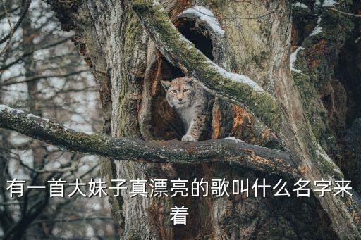 大妹子你真漂亮叫什么歌，大妹子你好漂亮好像那东山的红太阳 是什么歌曲
