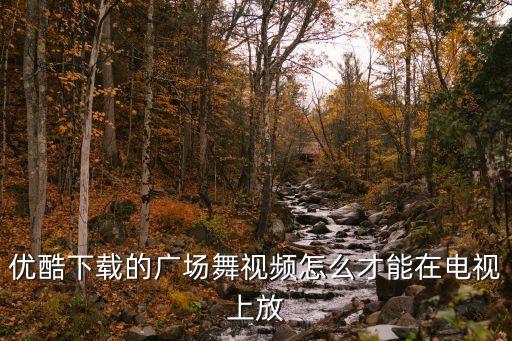 优酷下载的广场舞视频怎么才能在电视上放