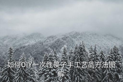 如何DIY一次性筷子手工艺品方法图解