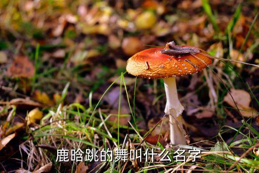 白鹿最近跳的舞蹈什么名字，鹿晗跳的舞叫什么名字
