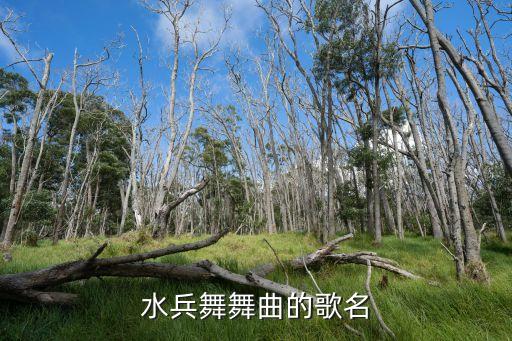 冬冬水兵舞是什么歌，水兵舞舞曲的歌名