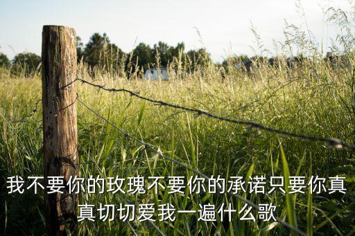 我不要你的玫瑰不要你的承诺只要你真真切切爱我一遍什么歌