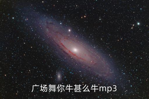广场舞你牛甚么牛mp3