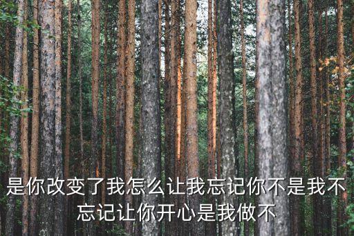 是你改变了我怎么让我忘记你不是我不忘记让你开心是我做不