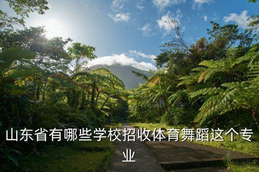 2021山东舞蹈艺考招生院校，山东省有哪些学校招收体育舞蹈这个专业