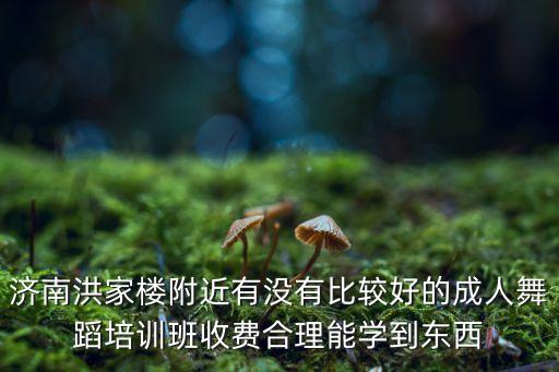 济南洪家楼附近有没有比较好的成人舞蹈培训班收费合理能学到东西