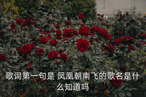 歌词第一句是 凤凰朝南飞的歌名是什么知道吗