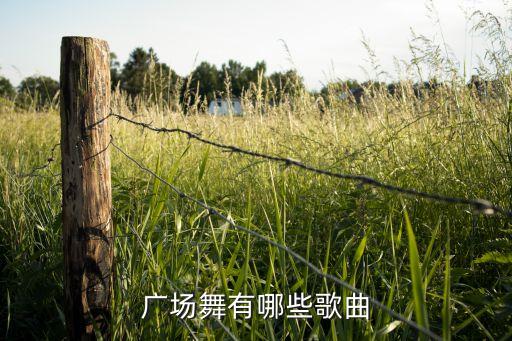广场舞歌曲什么好听的歌曲大全，什么歌适合放在广场上跳舞