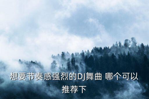 想要节奏感强烈的DJ舞曲 哪个可以推荐下
