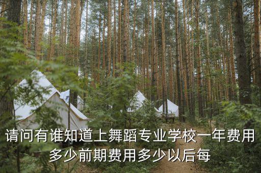 西安小天鹅舞蹈一年学费，西安小天鹅艺术团舞蹈收一年级的学生吗