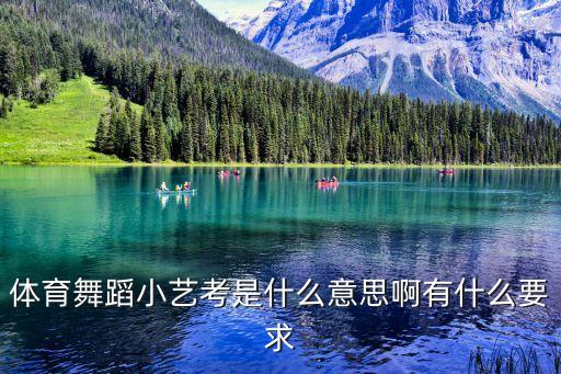 体育舞蹈小艺考是什么意思啊有什么要求