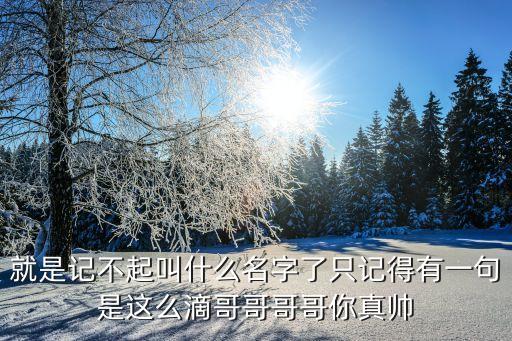 就是记不起叫什么名字了只记得有一句是这么滴哥哥哥哥你真帅