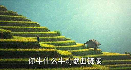 你牛什么牛的舞蹈dj版的，广场舞你牛甚么牛mp3