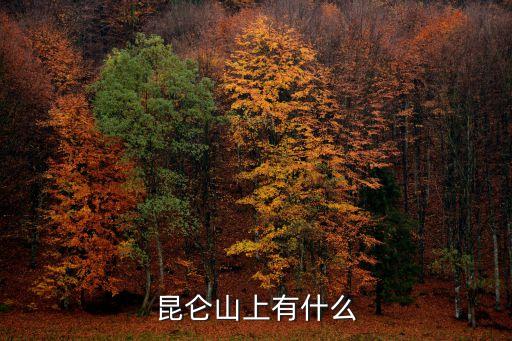 昆仑山上有什么