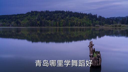 青岛哪里学舞蹈好