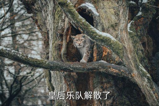皇后乐队解散了
