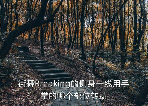 舞蹈侧身旋转叫什么，街舞Breaking的侧身一线用手掌的哪个部位转动