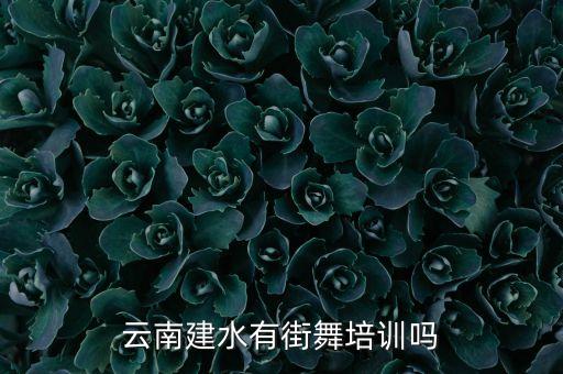 云南建水有街舞培训吗