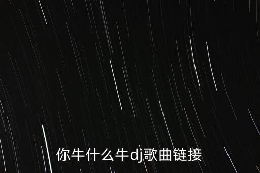 你牛什么牛dj歌曲链接