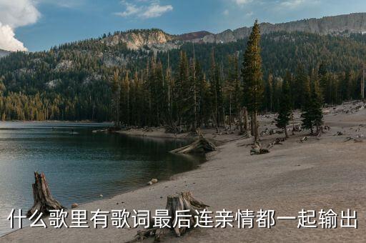 什么歌里有歌词最后连亲情都一起输出