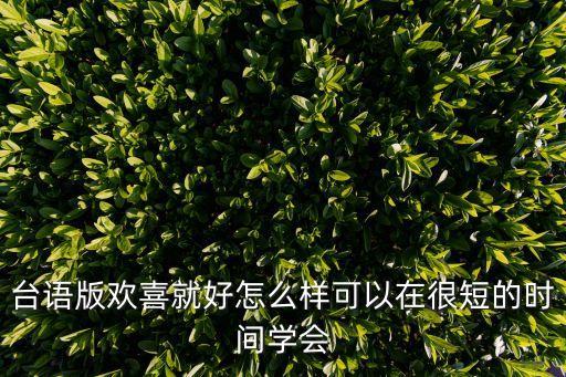 台语版欢喜就好怎么样可以在很短的时间学会
