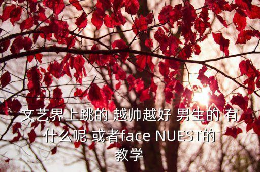文艺界上跳的 越帅越好 男生的 有什么呢 或者face NUEST的教学