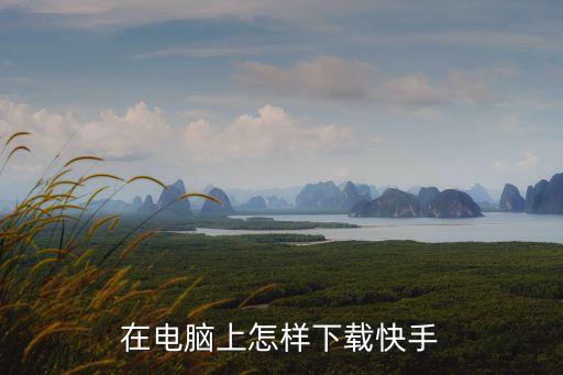 下载快手啊，千年 神风快手 在哪下载啊 要能加IP的好久没玩了