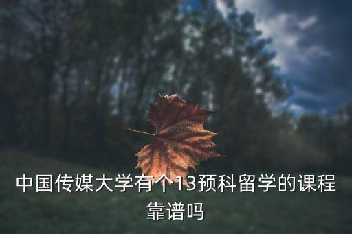 中国传媒大学国际本科1 3，中国传媒大学有个13预科留学的课程靠谱吗