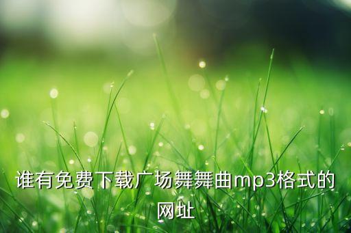 谁有免费下载广场舞舞曲mp3格式的网址