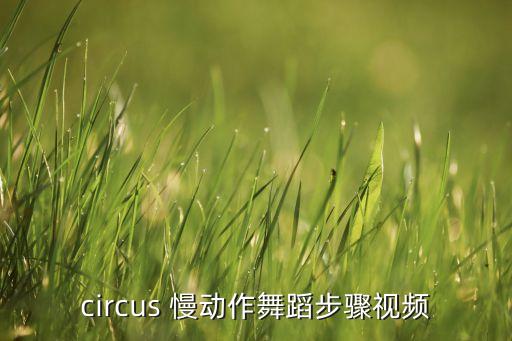 circus 慢动作舞蹈步骤视频