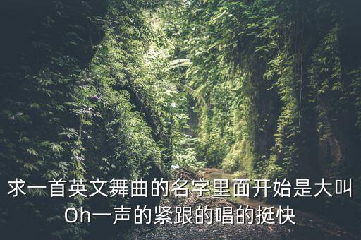 求一首英文舞曲的名字里面开始是大叫Oh一声的紧跟的唱的挺快