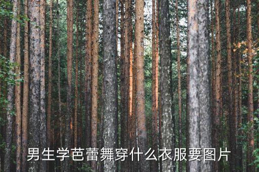 男生学芭蕾舞穿什么衣服要图片