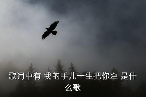 歌词中有 我的手儿一生把你牵 是什么歌