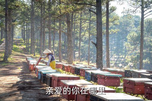 糖豆广场舞武阿哥广场舞亲爱的你在哪里，亲爱的你在哪里
