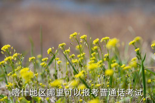 喀什地区哪里可以报考普通话考试