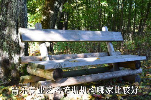 音乐专业艺考培训机构哪家比较好