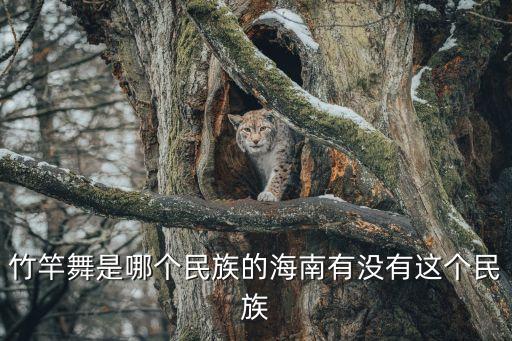 竹竿舞是哪个民族的海南有没有这个民族