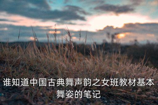 谁知道中国古典舞声韵之女班教材基本舞姿的笔记